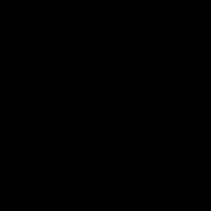 Meet your Posher, Ayan